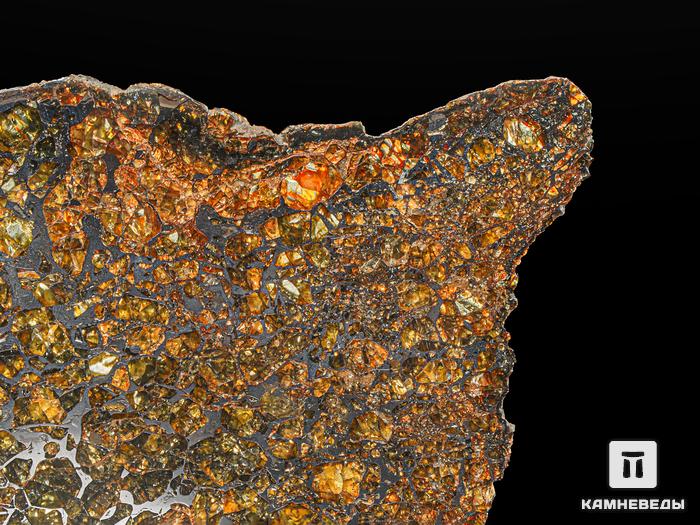 Метеорит «Сеймчан» с оливином, пластина 13,9х10,8х0,3 см (158,6 г), 9824, фото 3