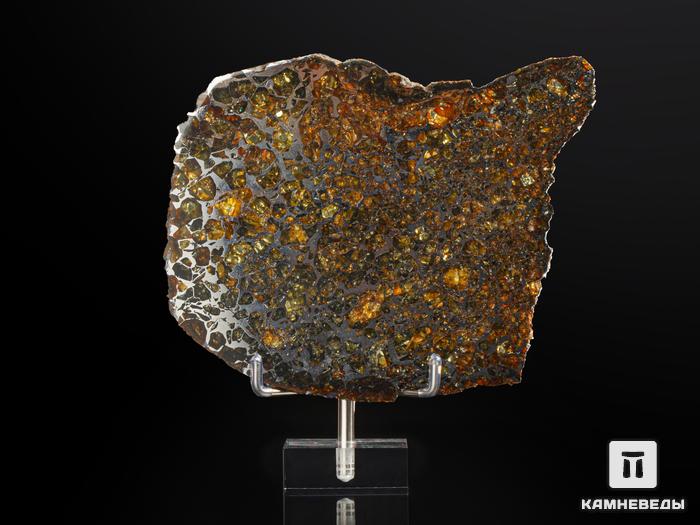 Метеорит «Сеймчан» с оливином, пластина 13,9х10,8х0,3 см (158,6 г), 9824, фото 1