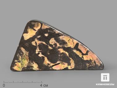 Аммолит. Аммолит (ископаемый перламутр аммонита), 10,2х6,5х1,5 см