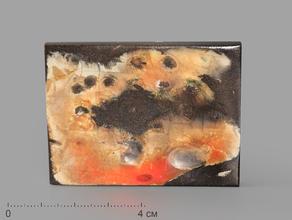 Аммолит (ископаемый перламутр аммонита), 6х4,5х0,5 см