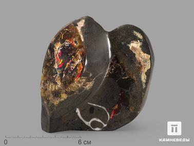 Аммолит. Аммолит (ископаемый перламутр аммонита), 9,5х9х3,5 см