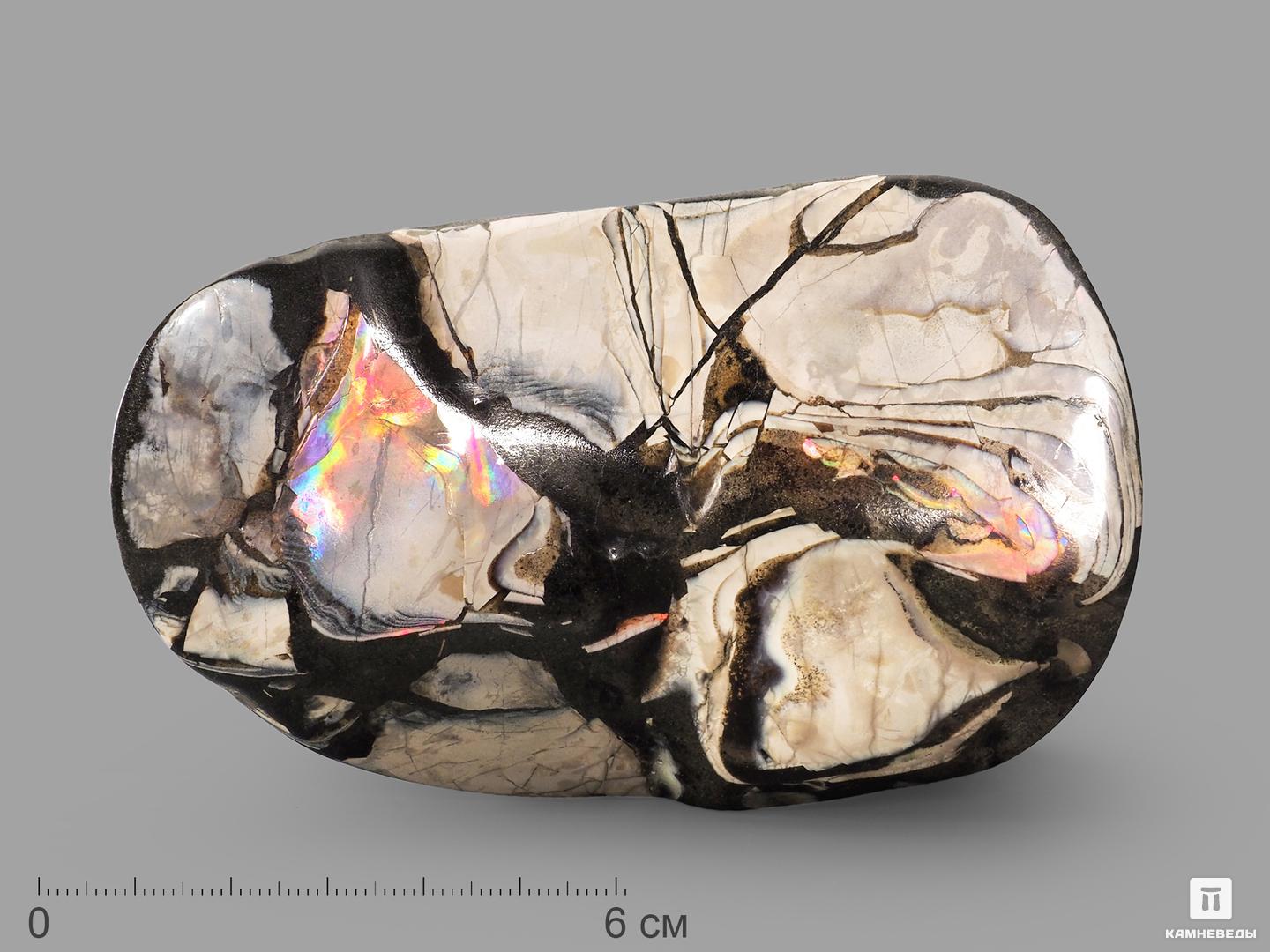 Аммолит (ископаемый перламутр аммонита), 10,8х6,8х4,8 см