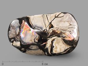 Аммолит (ископаемый перламутр аммонита), 10,8х6,8х4,8 см