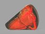 Аммолит (ископаемый перламутр аммонита), 6,8х4,5х1 см, 22705, фото 2