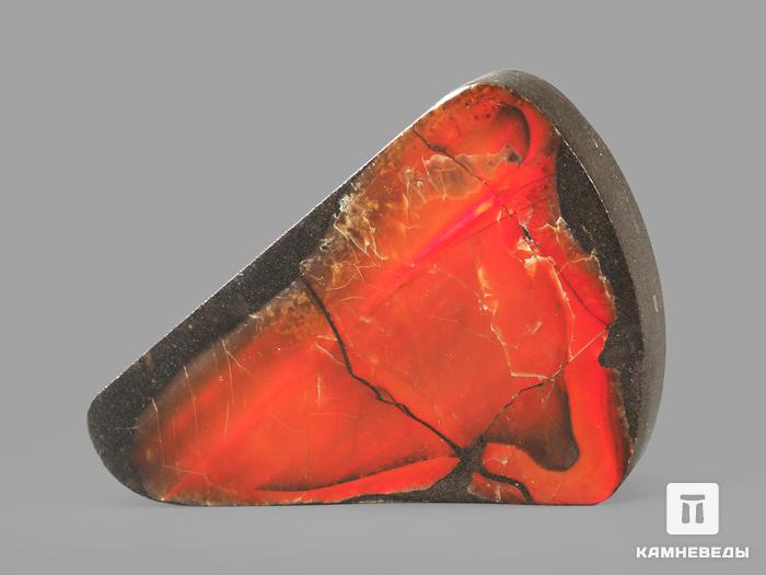 Аммолит (ископаемый перламутр аммонита), 6,8х4,5х1 см, 22705, фото 2