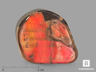 Аммолит. Аммолит (ископаемый перламутр аммонита), 6х4,5х1 см