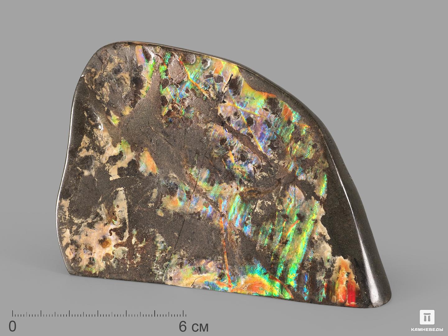 Аммолит (ископаемый перламутр аммонита), 12,5х9х3,7 см фигура голуби на сердце перламутр 20х16х17см