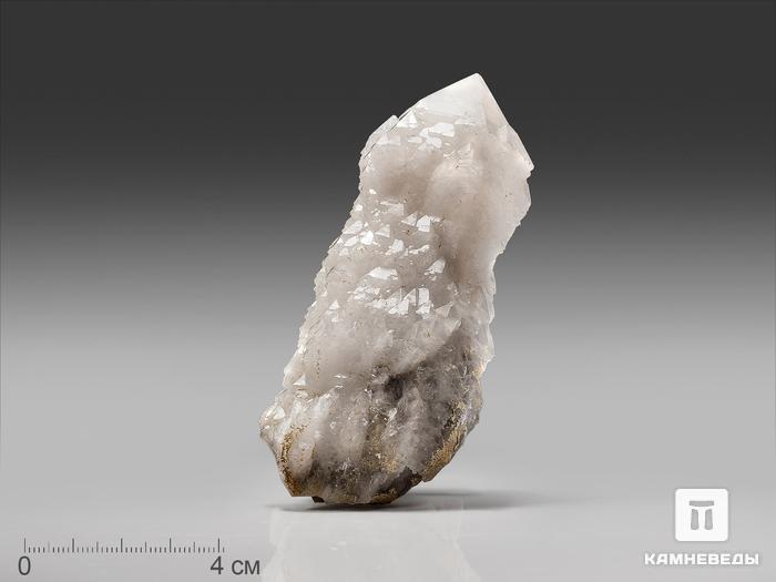 Кварц кактусовидный, кристалл 11х4х3 см, 22767, фото 1