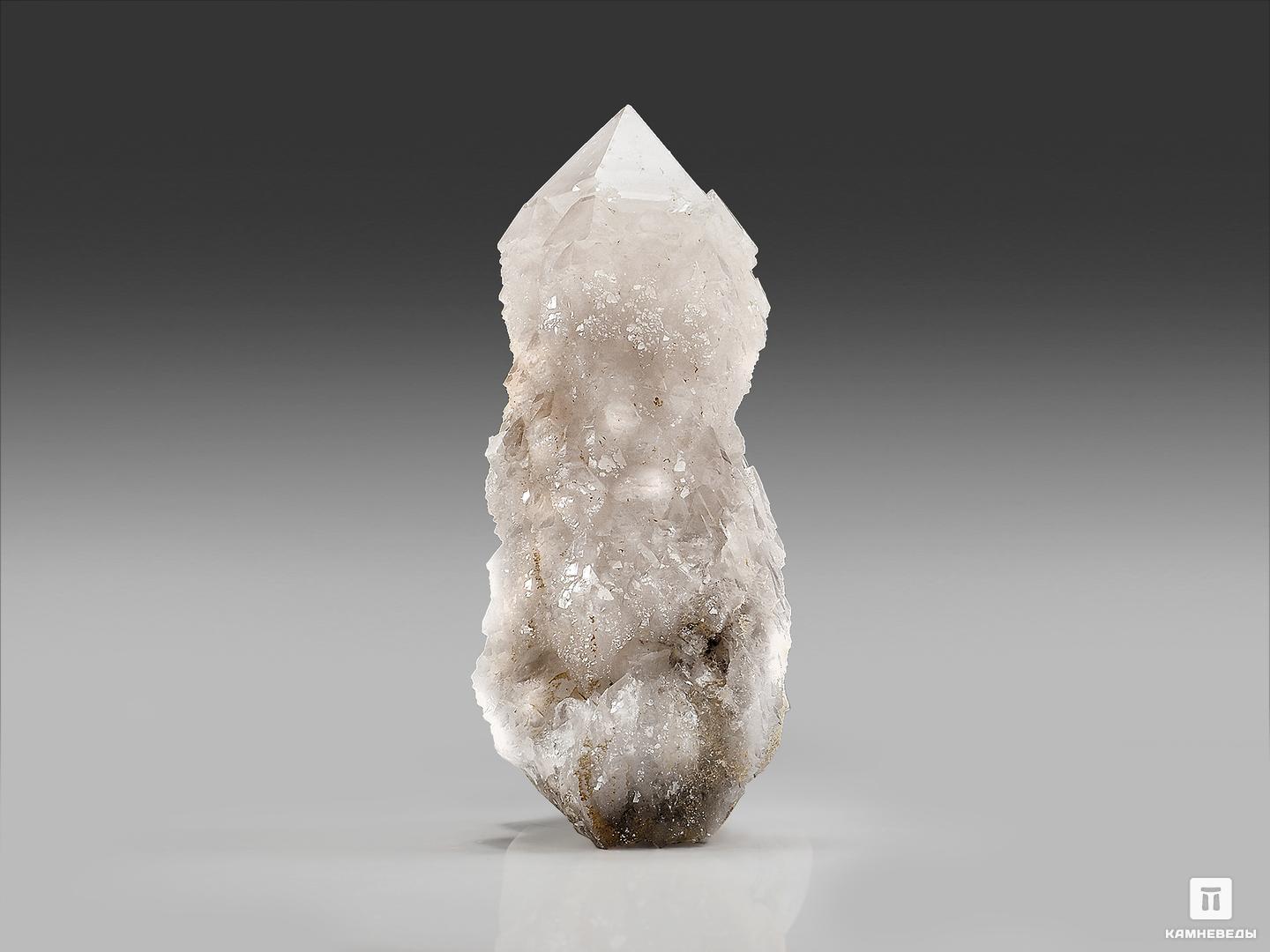 Кварц кактусовидный, кристалл 11х4х3 см, 22767, фото 2