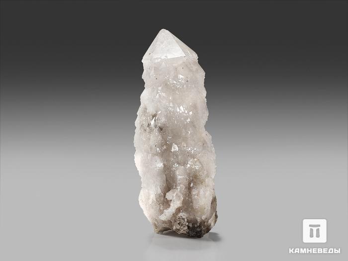 Кварц кактусовидный, кристалл 12х4,5х4 см, 17464, фото 2