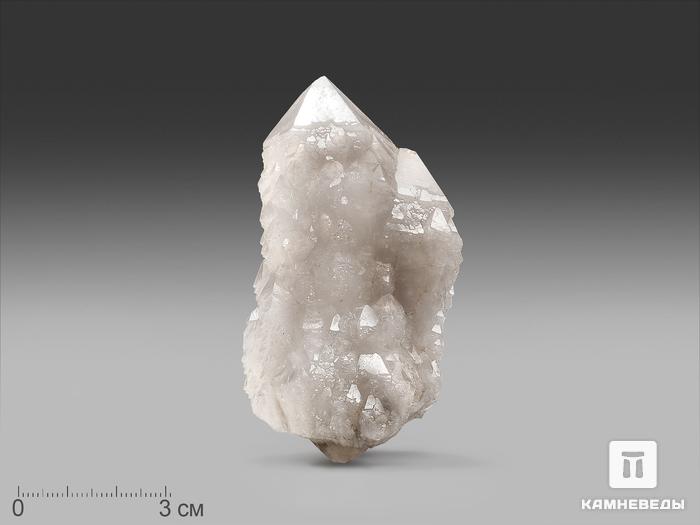 Кварц кактусовидный, кристалл 9,5х4,5х4 см, 22766, фото 1