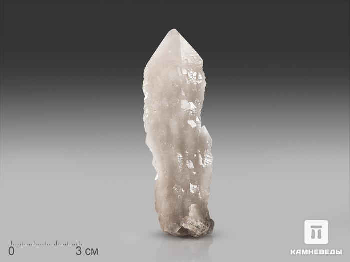 Кварц кактусовидный, кристалл 10х3,5х3 см, 22765, фото 1