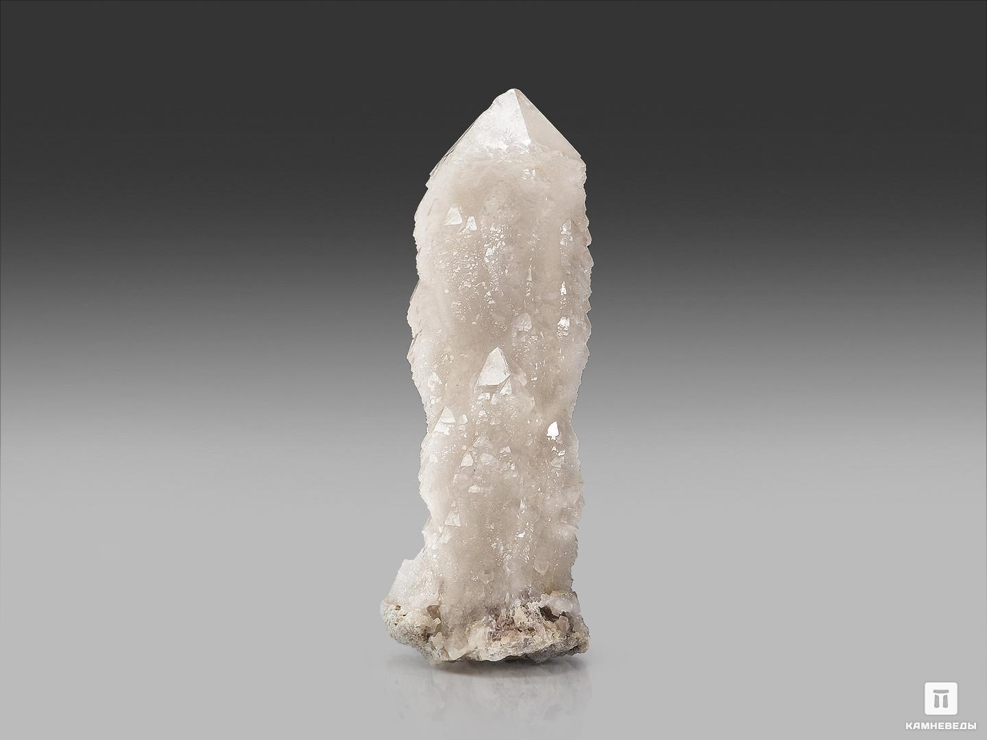 Кварц кактусовидный, кристалл 10х3,5х3 см, 22765, фото 2