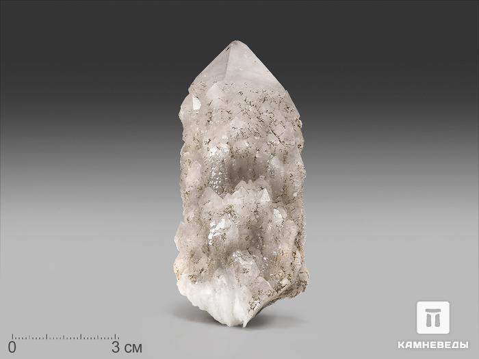 Кварц кактусовидный, кристалл 8,3х4,3х3,7 см, 17495, фото 1