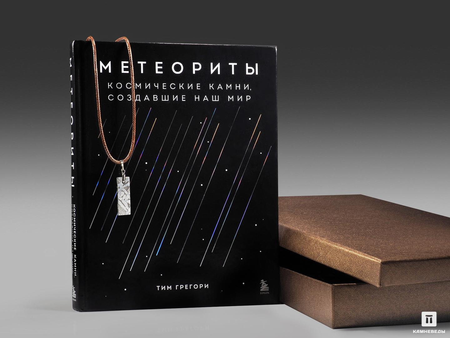 Подарочный набор (книга + кулон из метеорита Сеймчан) увлекательная бионика