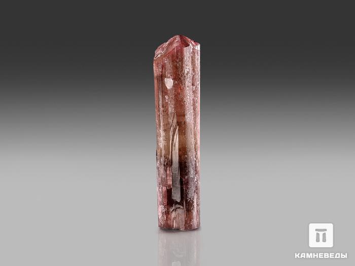 Турмалин (рубеллит), кристалл 7,3х1,9х1,5 см, 22995, фото 2