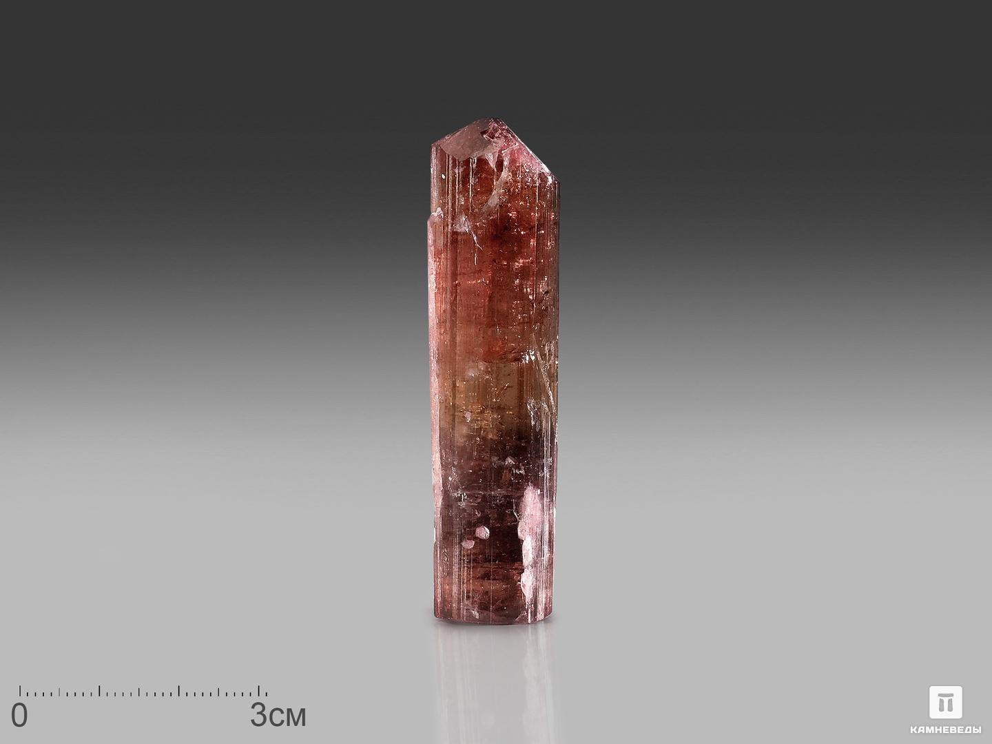 Турмалин (рубеллит), кристалл 7,3х1,9х1,5 см, 22995, фото 1