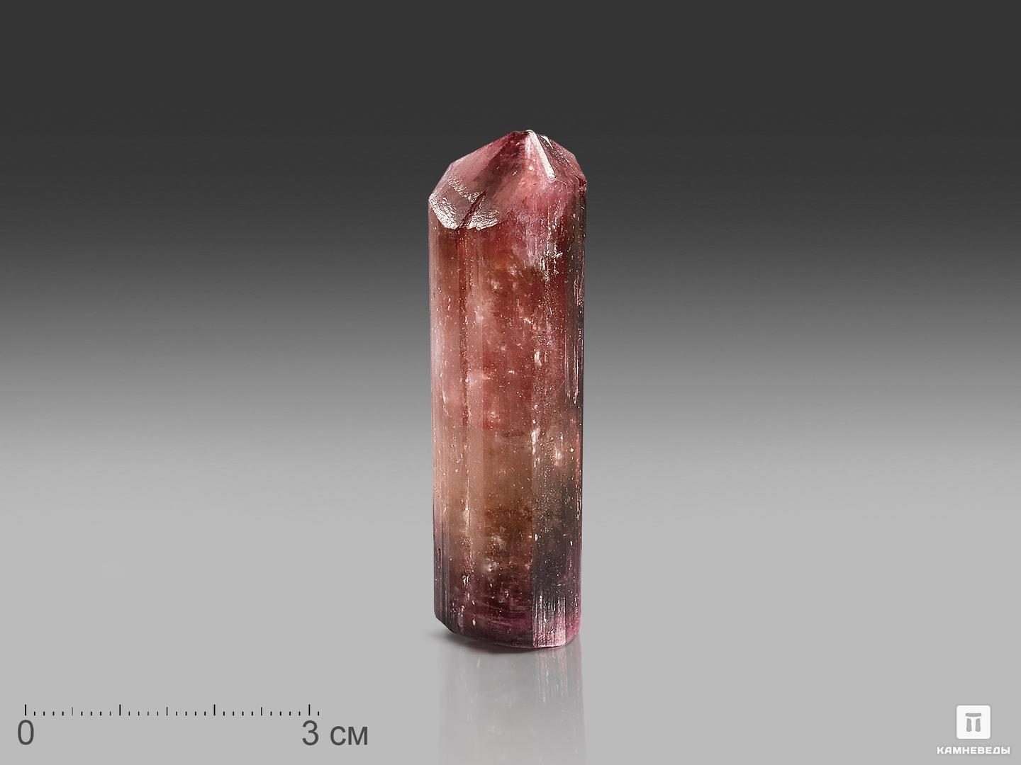 Турмалин (рубеллит), кристалл 6,2х1,8х1,7 см