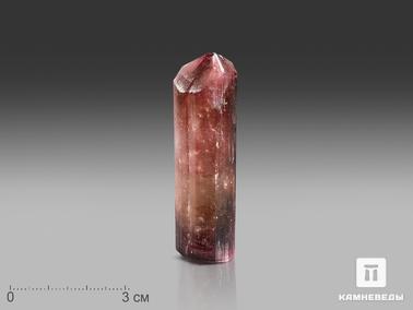 Турмалин, Рубеллит. Турмалин (рубеллит), кристалл 6,2х1,8х1,7 см