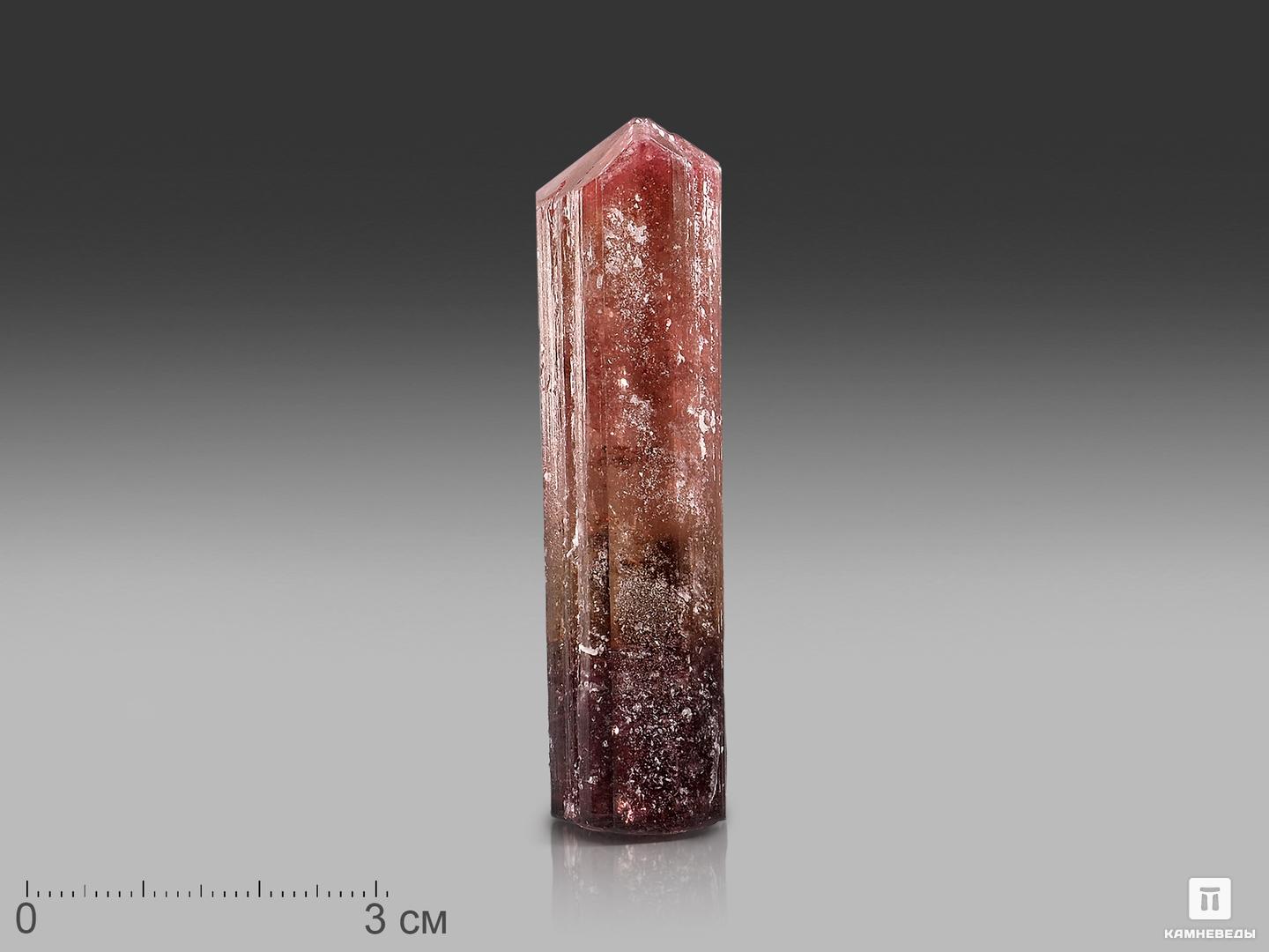Турмалин (рубеллит), кристалл 7х1,8х1,5 см