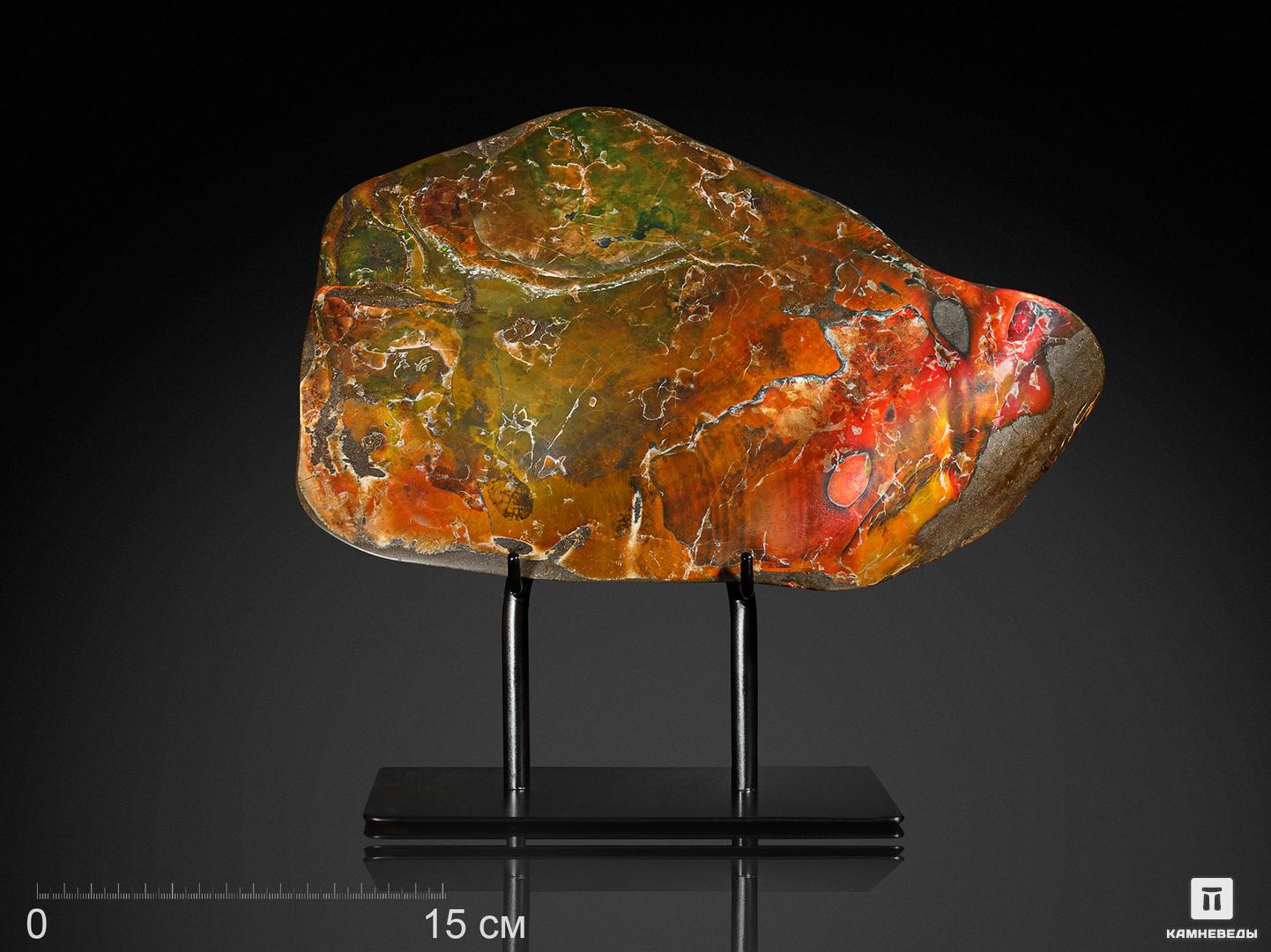 Аммолит (ископаемый перламутр аммонита), 30,2х21,5х5,8 см, 22734, фото 2