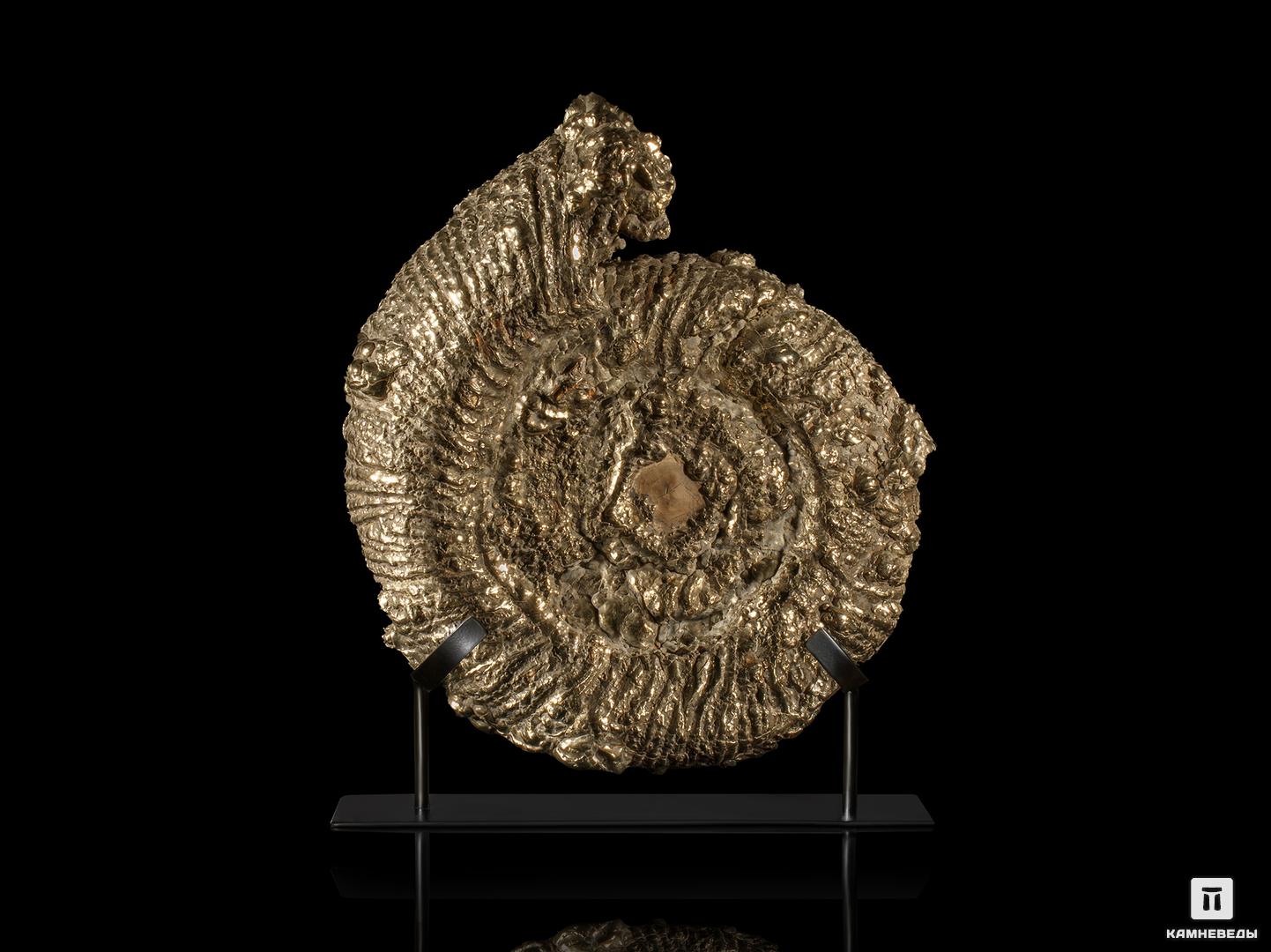 Аммонит пиритизированный на подставке, 48х39х11,3 см, 12100, фото 2