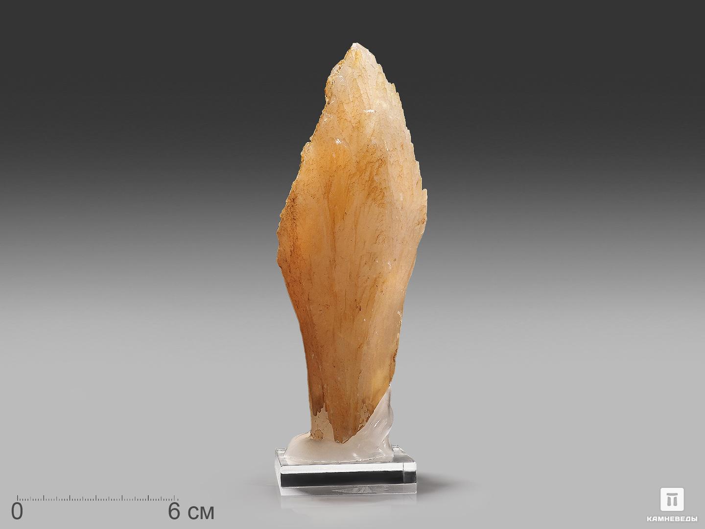 Кальцит, кристалл 18х5,7х5,5 см, 22574, фото 1