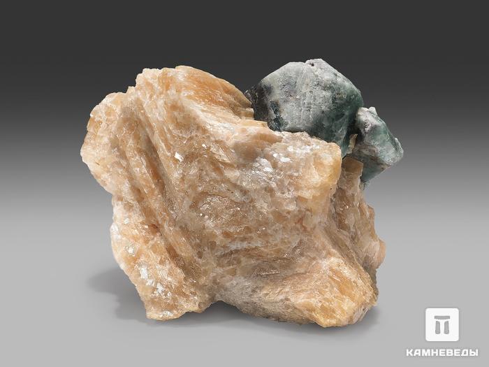 Апатит на кальците, кристаллы 11,2х8,7х5,6 см, 22576, фото 2