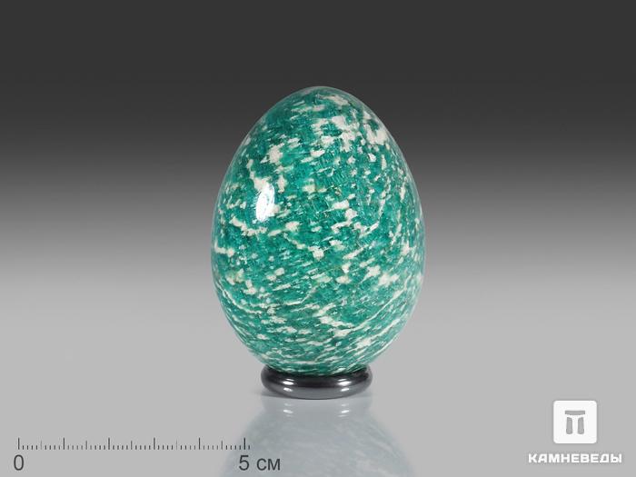 Яйцо из амазонита, 6,5х4,8 см, 24448, фото 1
