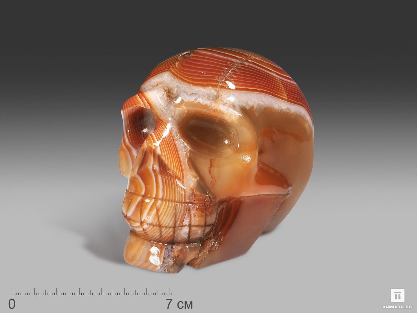Череп из сердоликового агата, 11,5х9,5х8 см шепчущий череп