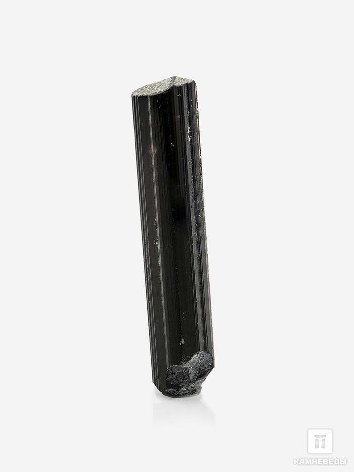 Шерл (чёрный турмалин), кристалл 4,3х0,9 см, 24749, фото 1