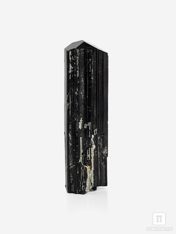 Шерл (чёрный турмалин), кристалл 4,7х1,3 см, 24755, фото 1