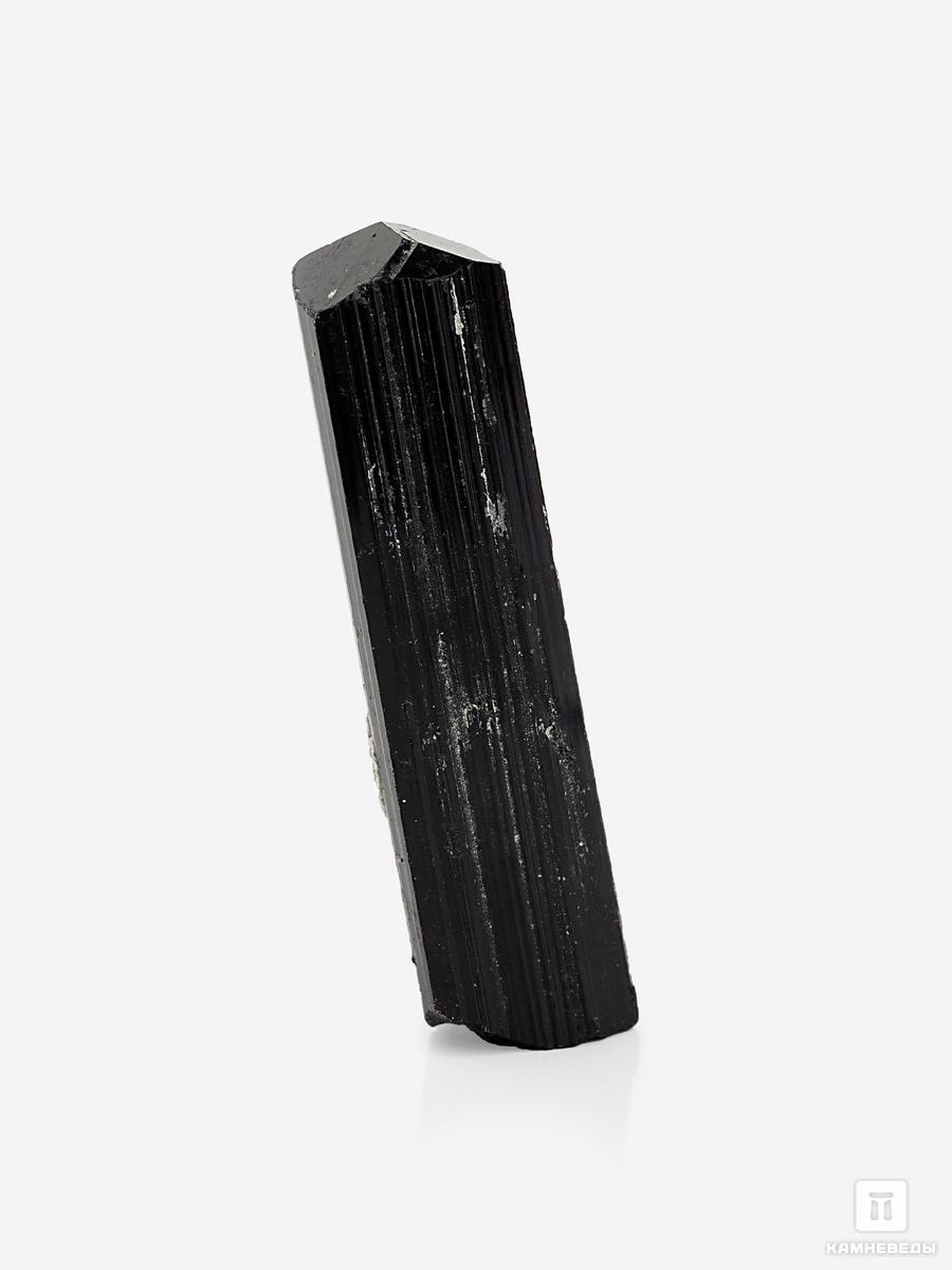 Шерл (чёрный турмалин), кристалл 4,7х1,3 см, 24755, фото 2
