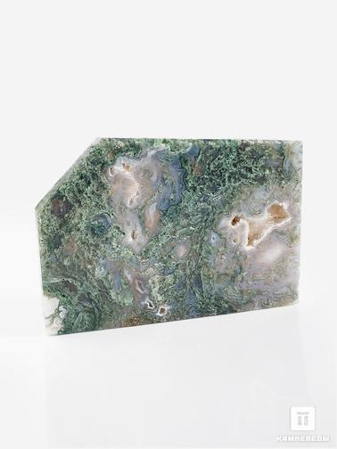 Агат. Агат моховой, полированный срез 14,5х9,7х1,2 см