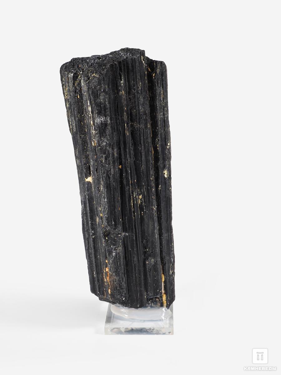 шерл чёрный турмалин кристалл 4 7х1 3 см Шерл (чёрный турмалин), кристалл 20х8х5,5 см