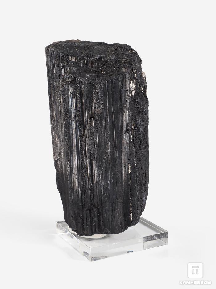 Шерл (чёрный турамалин), кристалл 11х6,2х5,7 см, 24312, фото 1