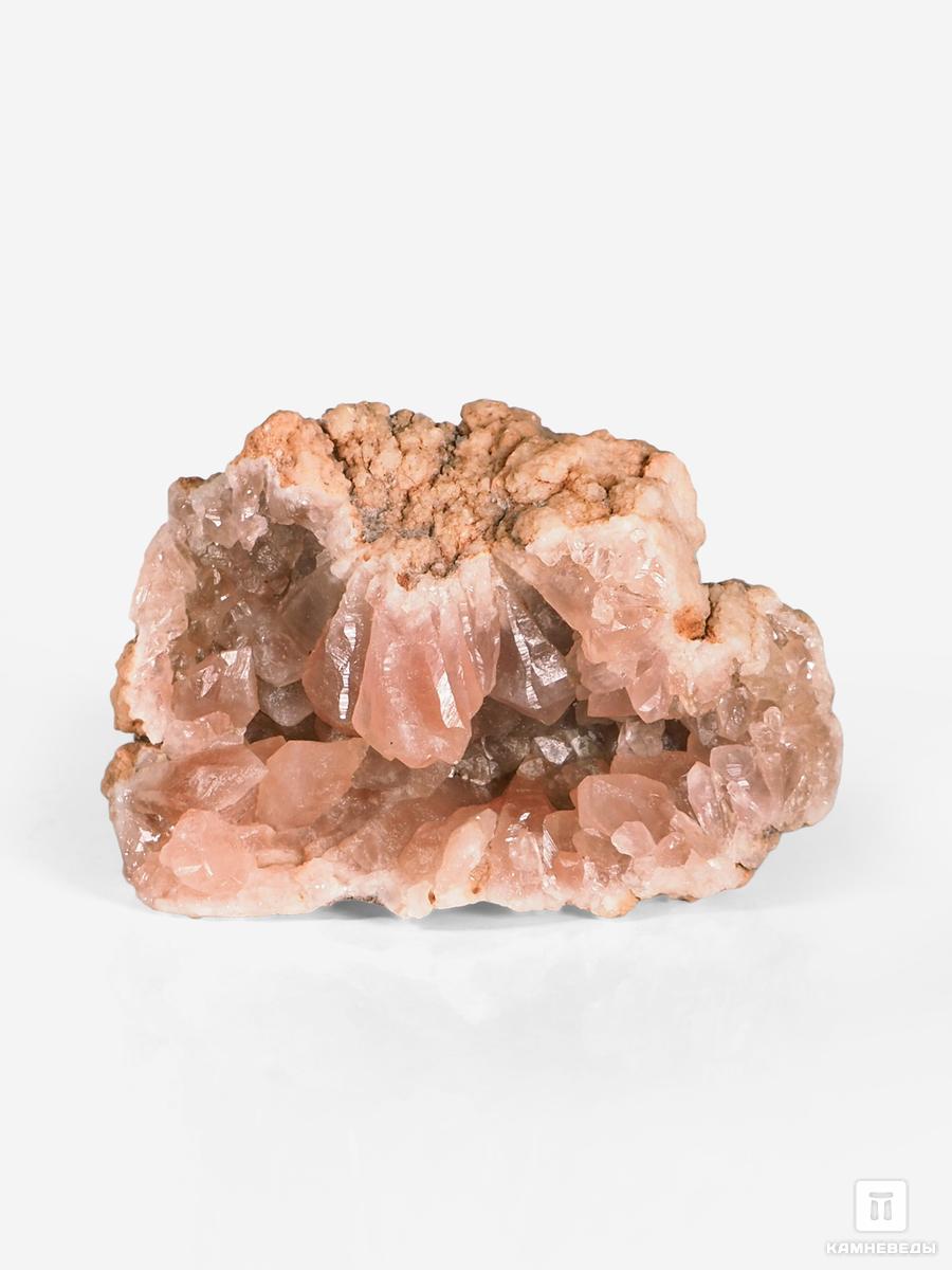 Аметист розовый, 3,5-5,5 см чиос скребок гуаша лапка в подарочной упаковке аметист