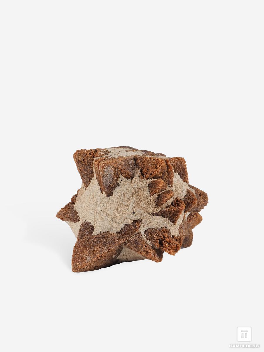 Глендонит (беломорская рогулька), 3,9х3,6х3 см шар из кальцита 62 мм