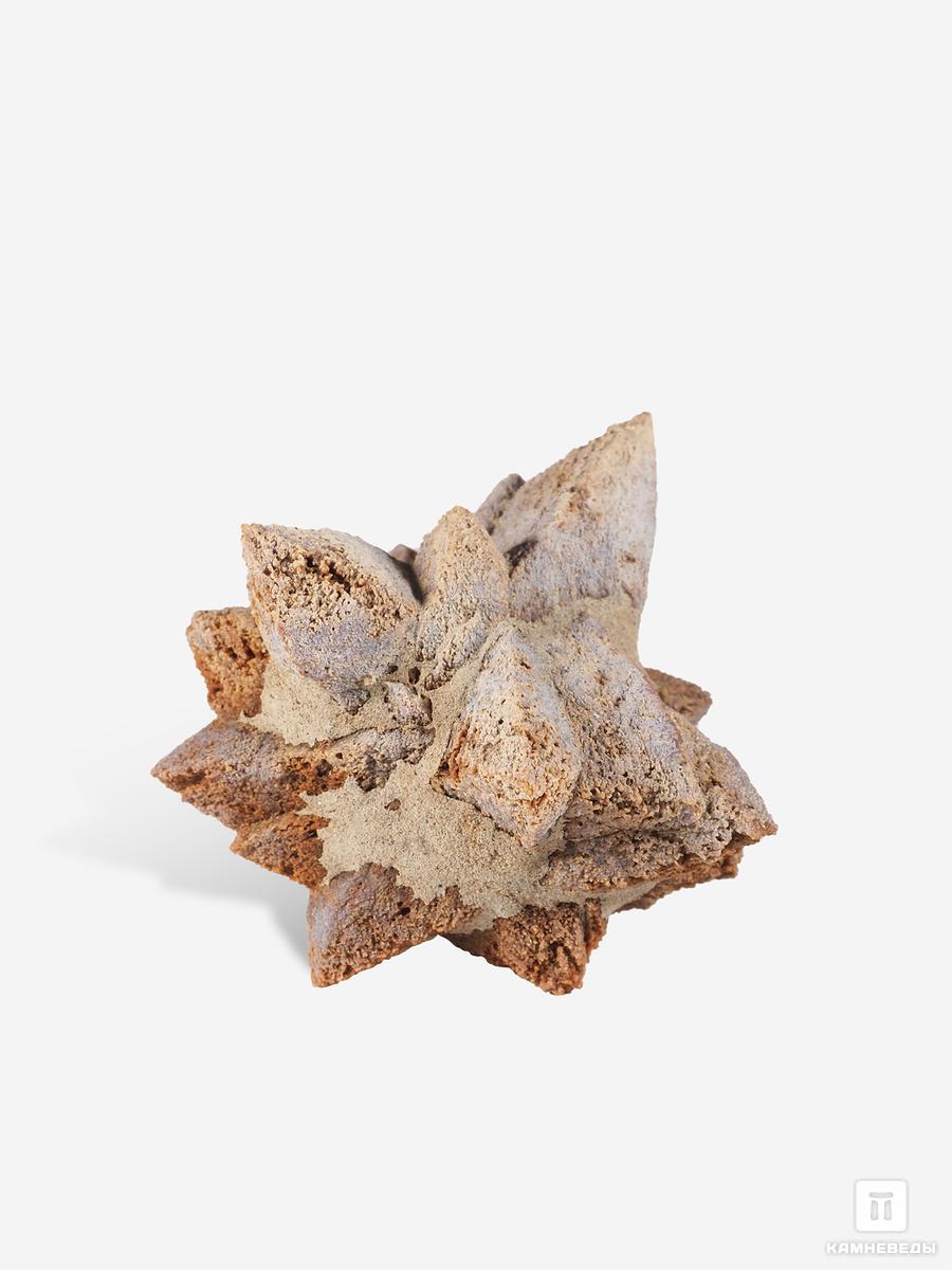 Глендонит (беломорская рогулька), 5,1х4,5х2,5 см шар из кальцита 62 мм