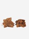 Глендонит (беломорская рогулька), 3,3х3х2,1 см, 10-259/3, фото 3