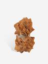 Глендонит (беломорская рогулька), 5,1х2,7х2,2 см, 10-259/4, фото 2