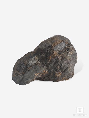 Угольная почка. Угольная почка (Coal ball), 10,9х6,6х6,5 см