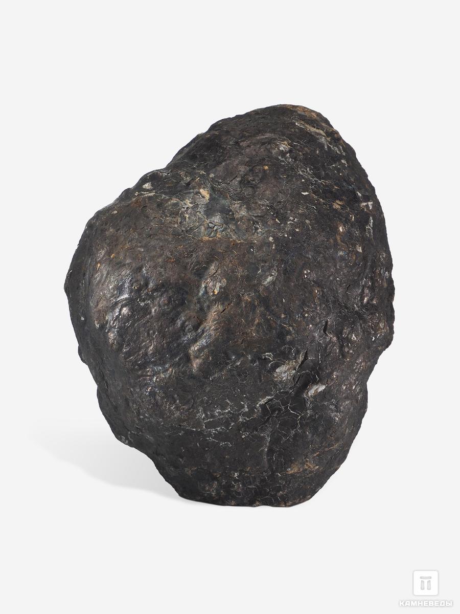 Угольная почка (Coal boll), 13,1х10,6х8,1 см угольная почка coal boll с отпечатком корней папоротника psaronius sp 25 9х12 1х2 5 см