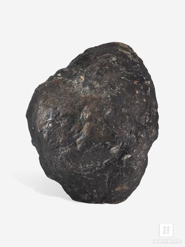 Угольная почка. Угольная почка (Coal ball), 13,1х10,6х8,1 см