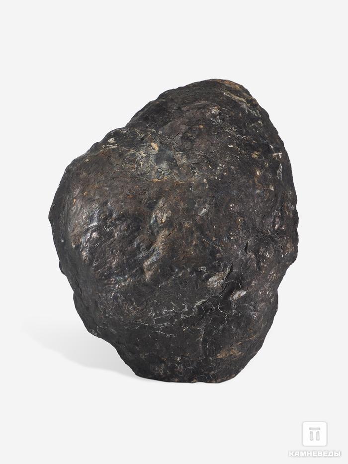 Угольная почка (Coal boll), 13,1х10,6х8,1 см, 25302, фото 1
