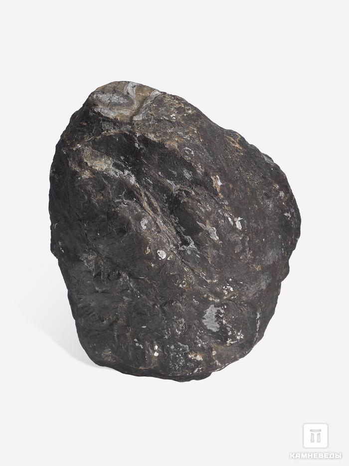 Угольная почка (Coal boll), 13,1х10,6х8,1 см, 25302, фото 2