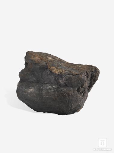 Угольная почка. Угольная почка (Coal boll), 12,5х8,4х6,7 см