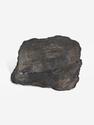 Угольная почка (Coal boll), 12,5х8,4х6,7 см, 25305, фото 2