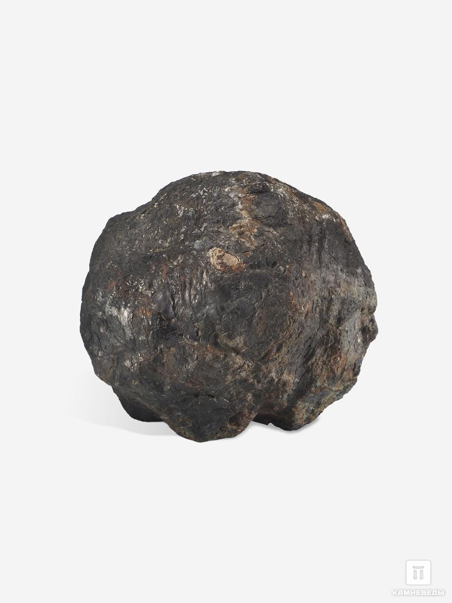 Угольная почка (Coal boll), 7,2х6,3х5,1 см угольная почка coal boll с отпечатком корней папоротника psaronius sp 25 9х12 1х2 5 см