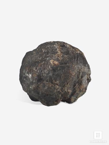 Угольная почка. Угольная почка (Coal ball), 7,2х6,3х5,1 см